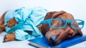 Simply Vets Practice Notes Placeholder Image